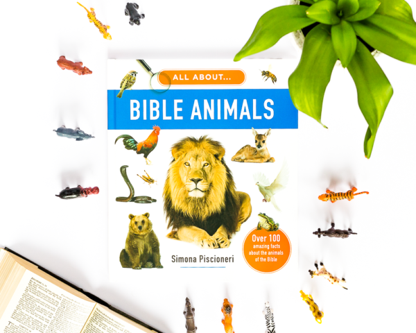 All About Bible Animals