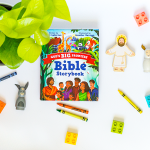 God's Big Promises Storybook Bible