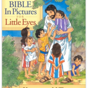 The New Bible in Pictures